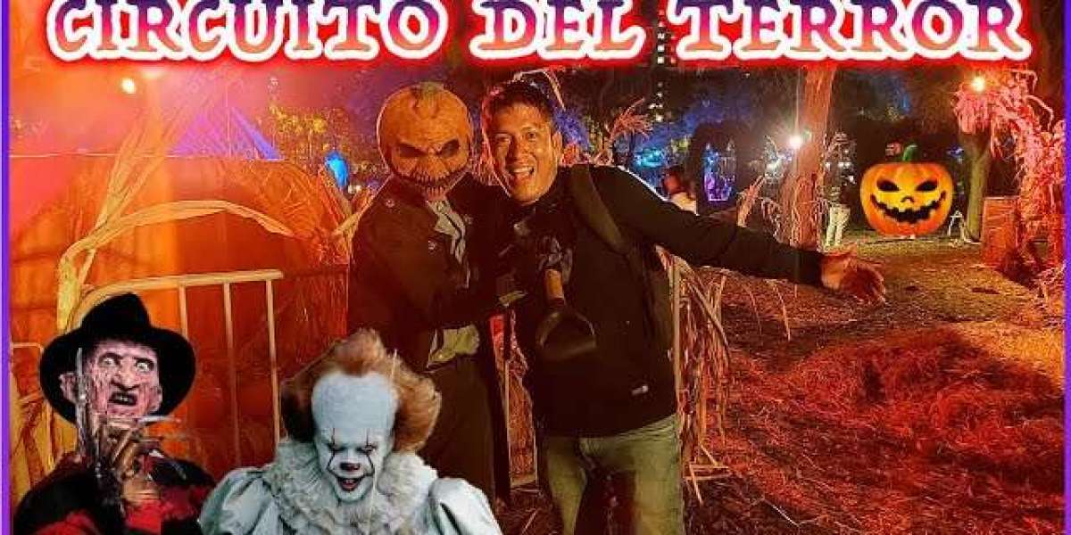 Cómo Conectar con Otros Fans del Terror entre los Adolescentes en 2025