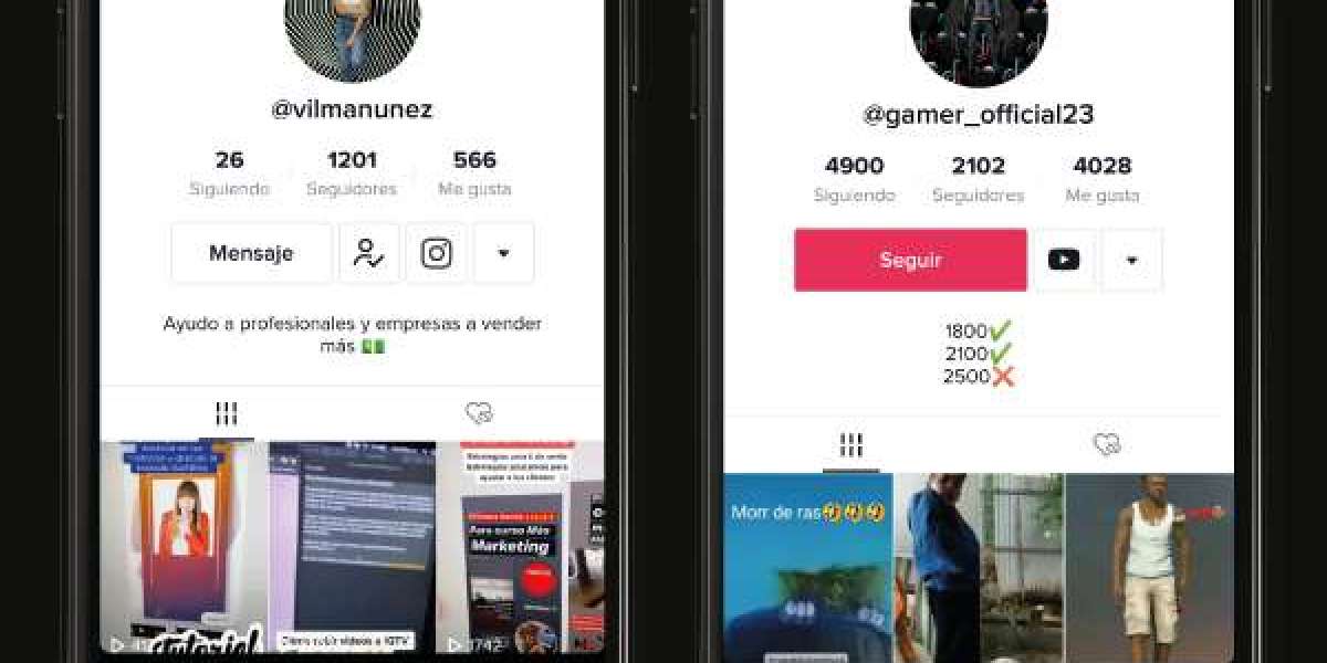 Cómo Crear un Perfil Atractivo en TikTok para Atraer Más Seguidores